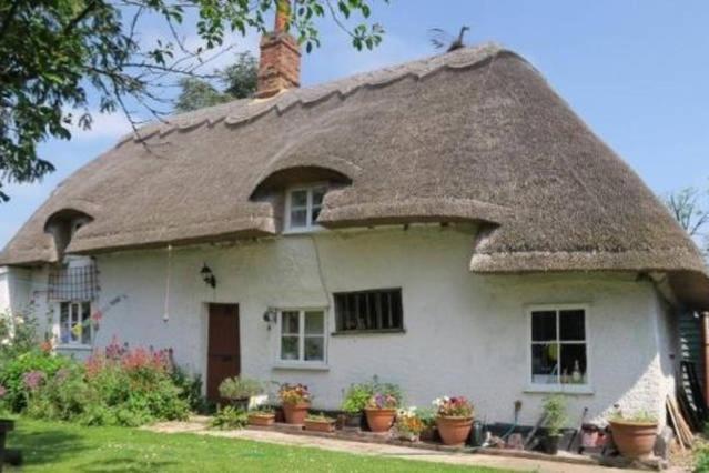 Entire Thatched Cottage Melbourn Buitenkant foto